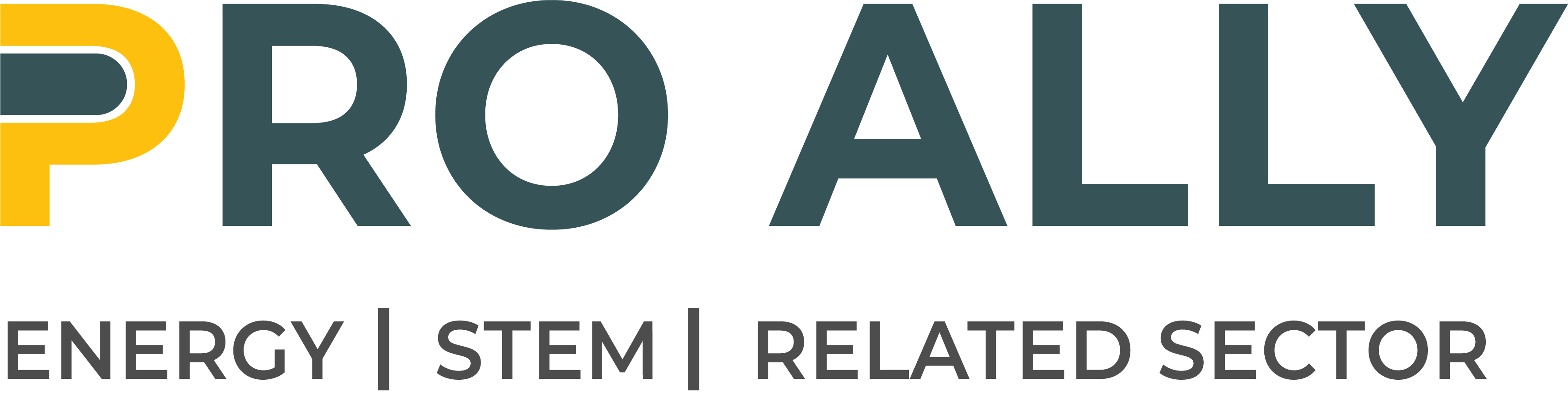 PRO ALLY OFFICIAL LOGO